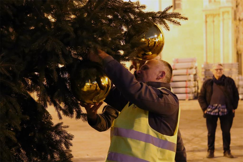 221222 KIĆENJE BORA 7