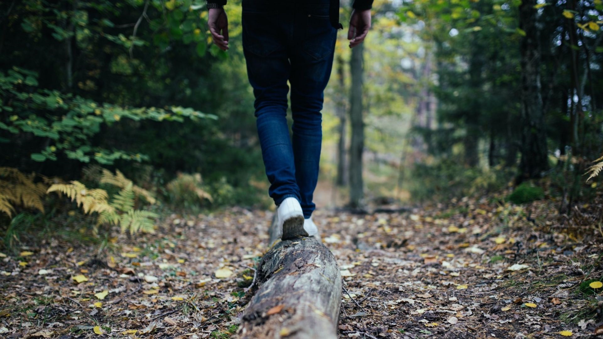 planinarenje hiking unsplash naslovna